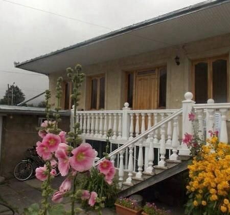 Nino's Guest House Kazbegi Extérieur photo