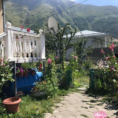 Nino's Guest House Kazbegi Extérieur photo