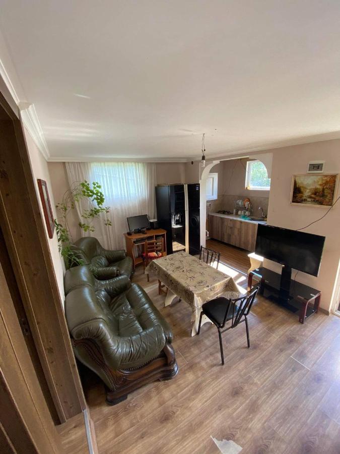 Nino's Guest House Kazbegi Extérieur photo