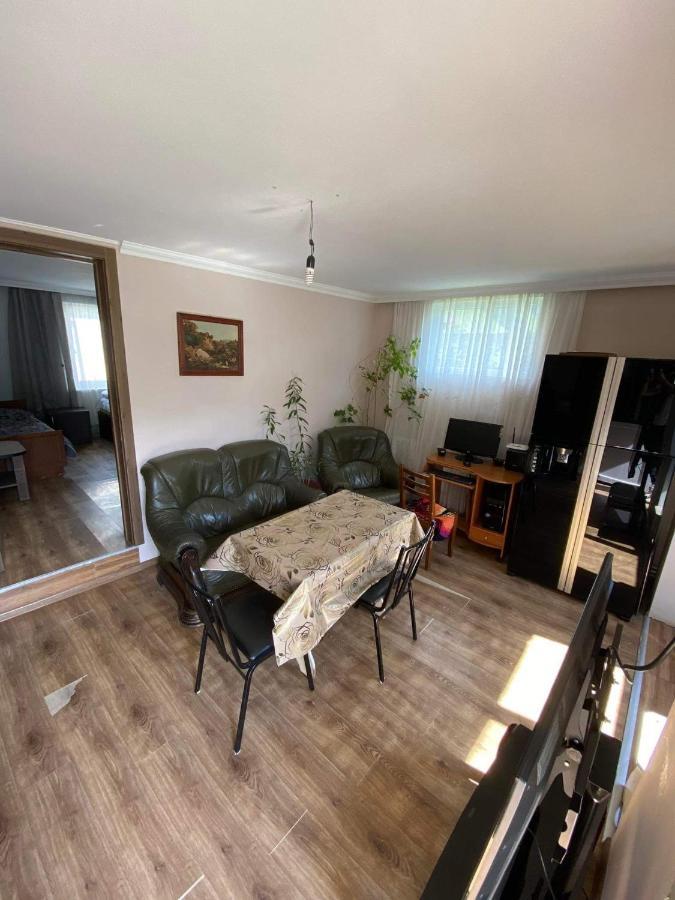 Nino's Guest House Kazbegi Extérieur photo